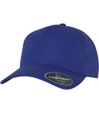 Flexfit Delta DarkRoyal