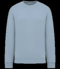 Unisex oversized sweatshirt 300gsm Aquamarine