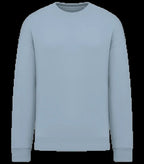 Unisex oversized sweatshirt 300gsm Aquamarine