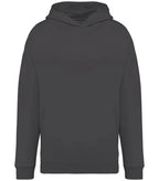 Unisex oversized hooded sweatshirt 300gsm IronGrey