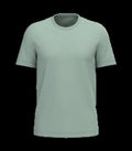 Men's BIO150IC Crew Neck T-shirt Sage