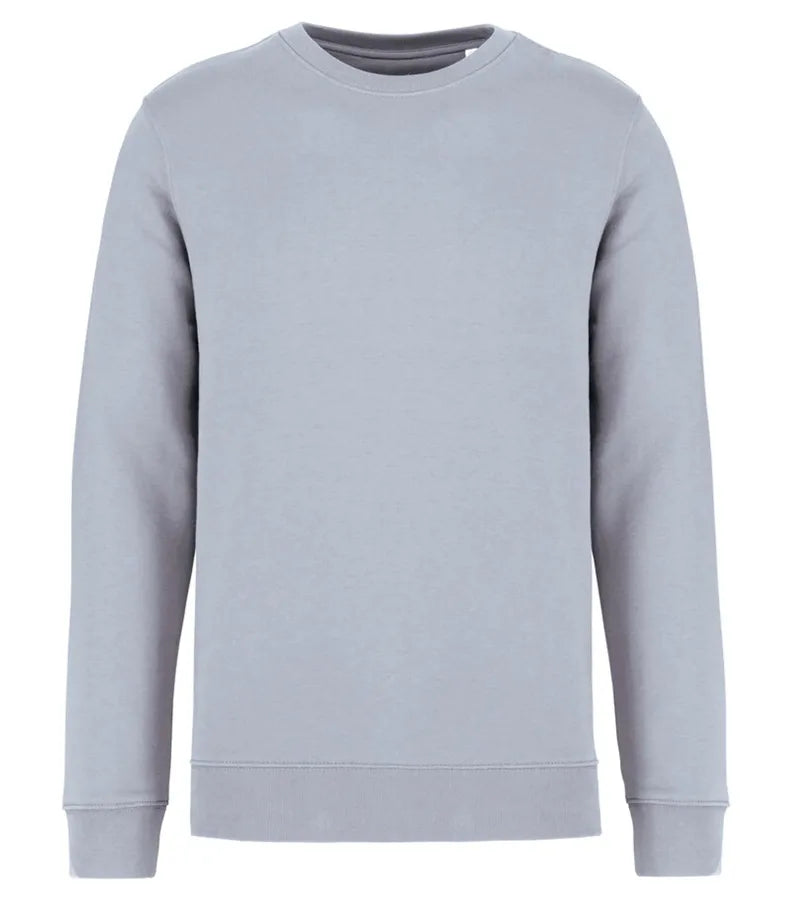Unisex sweatshirt 350 gsm Aquamarine