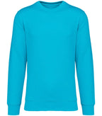 Unisex sweatshirt 350 gsm LightTurquoise