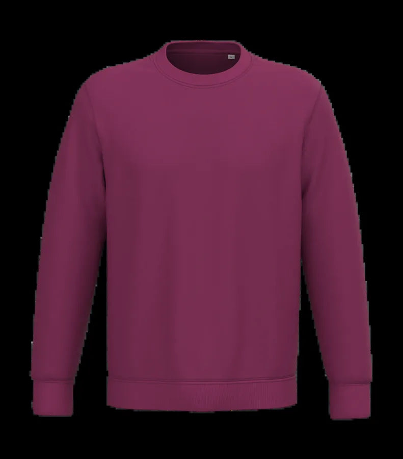 Unisex sweatshirt 350 gsm CherryPurple