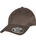 Flexfit 110 Organic Cap DarkGrey