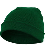 Heavyweight Beanie Spruce