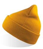 WIND Mustard
