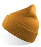 WIND-S Mustard