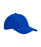 EarthAware® Junior Classic Organic Cotton 6 Panel BrightRoyal