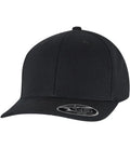 Flexfit 110 Curved Snapback Black