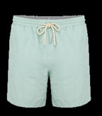 Eco-Friendly Men's Swimshorts BrookGreen