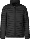 Women's Zepelin Jacket