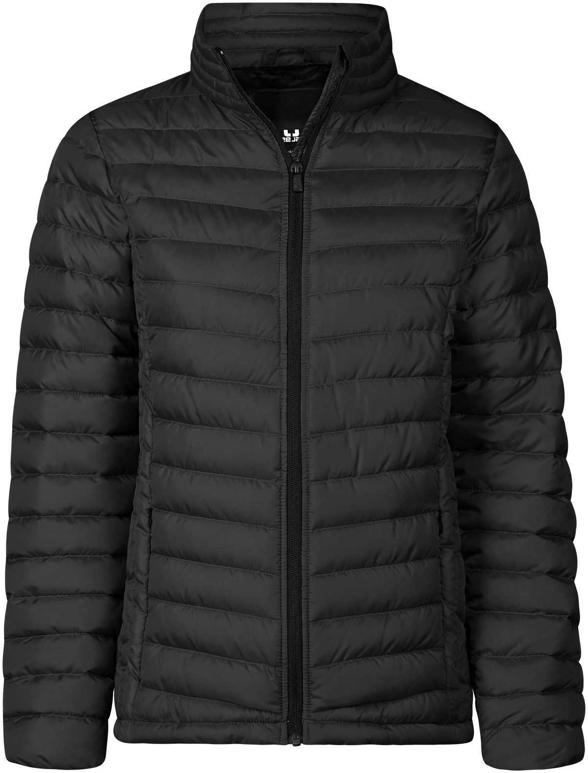 Women's Zepelin Jacket